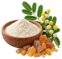 Съставка на SecretDiet — акациеви влакнини (Acacia senegal)