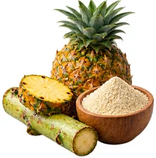 Съставка на SecretDiet — акациеви влакнини (Acacia senegal)