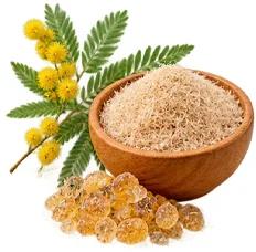 Съставка на SecretDiet — акациеви влакнини (Acacia senegal)