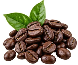 Съставка на SecretDiet — L-карнитин тартарат